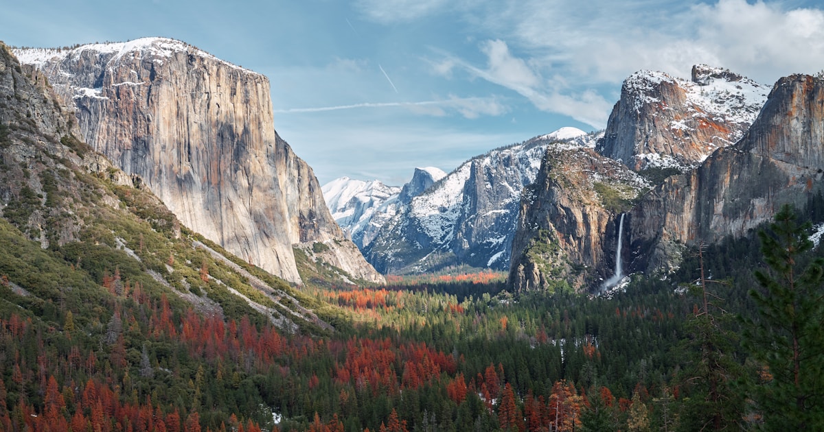 The Unintended Consequences of Tree-Planting Programs in Sierra Nevada
