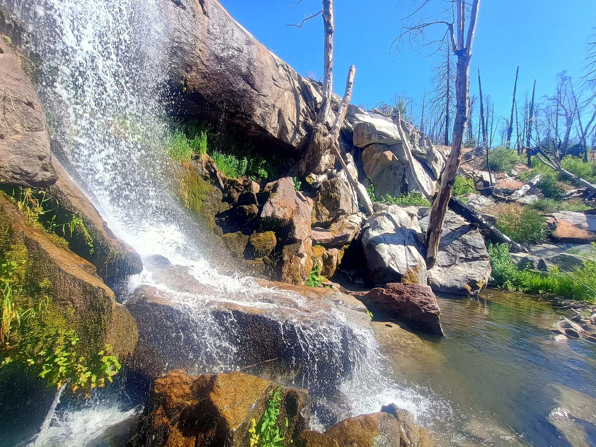 Sunlit granite and creek at Musick Creek